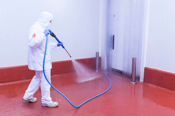 Best Gutter Cleaning and Brightening in Union City, GA